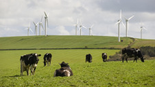 The bill does not require that current environmental standards are maintained after Brexit, nor does it contain a general requirement that the public should be consulted on potentially significant changes